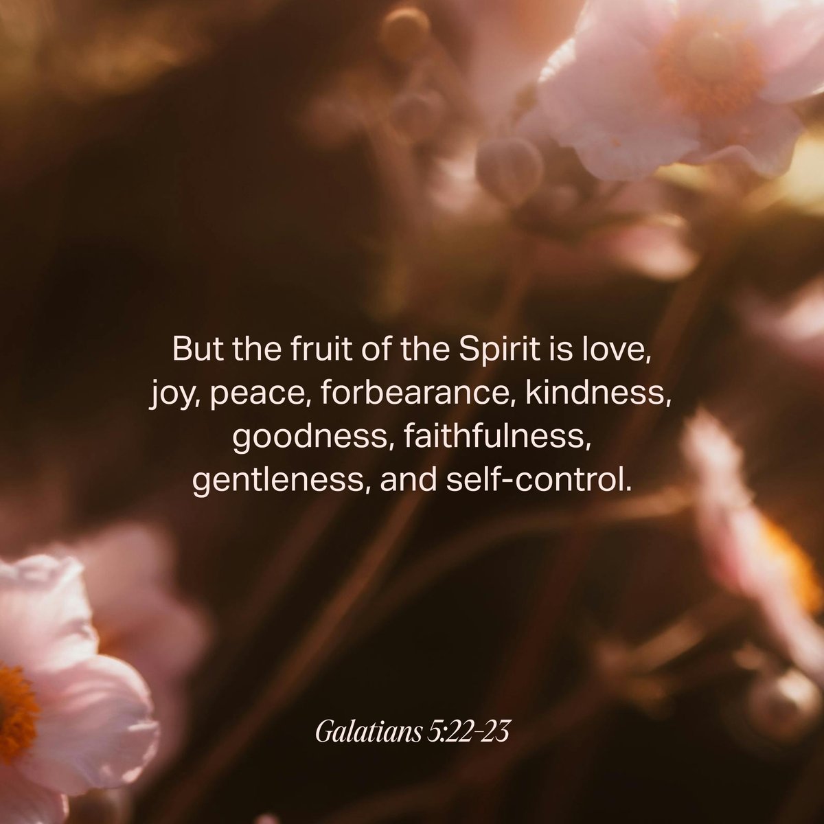 Galatians 5:22-23