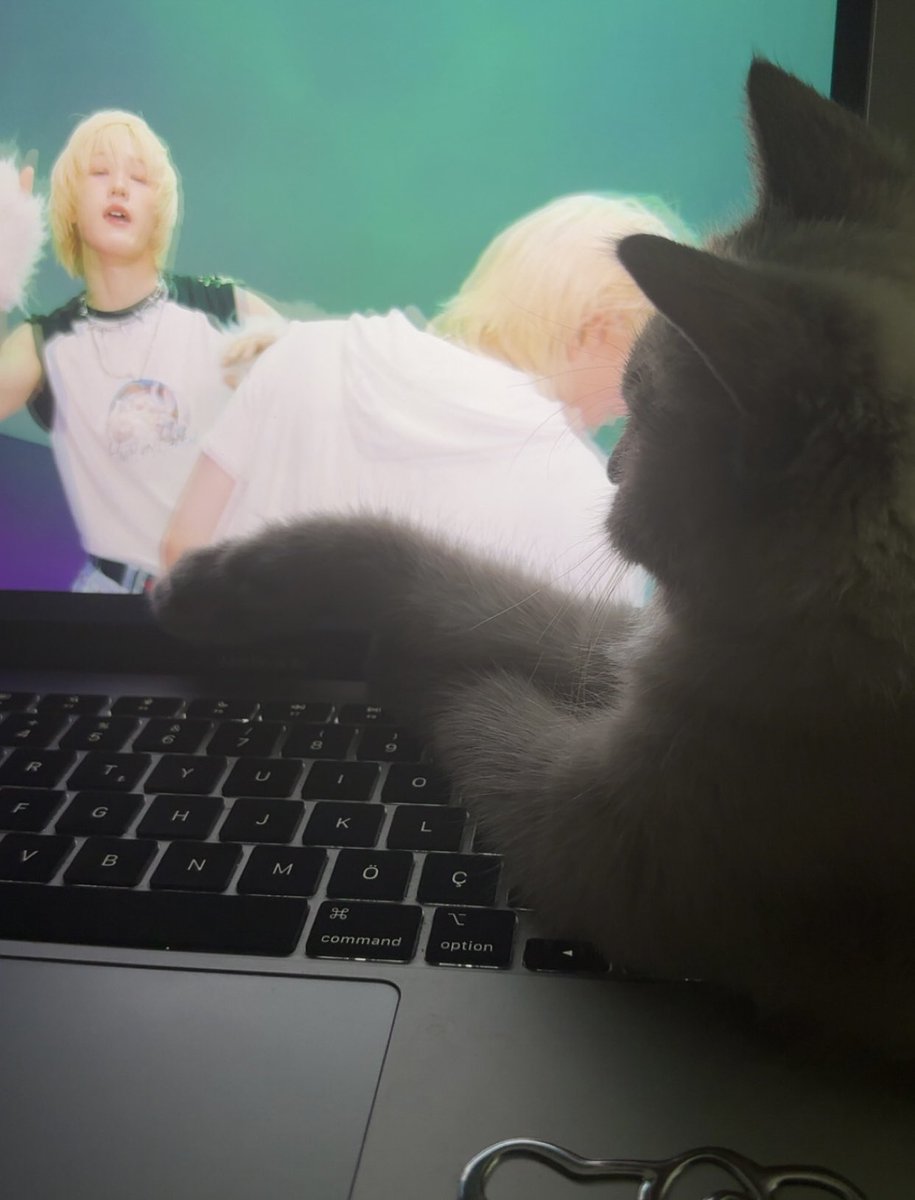 she's just a girl🎀