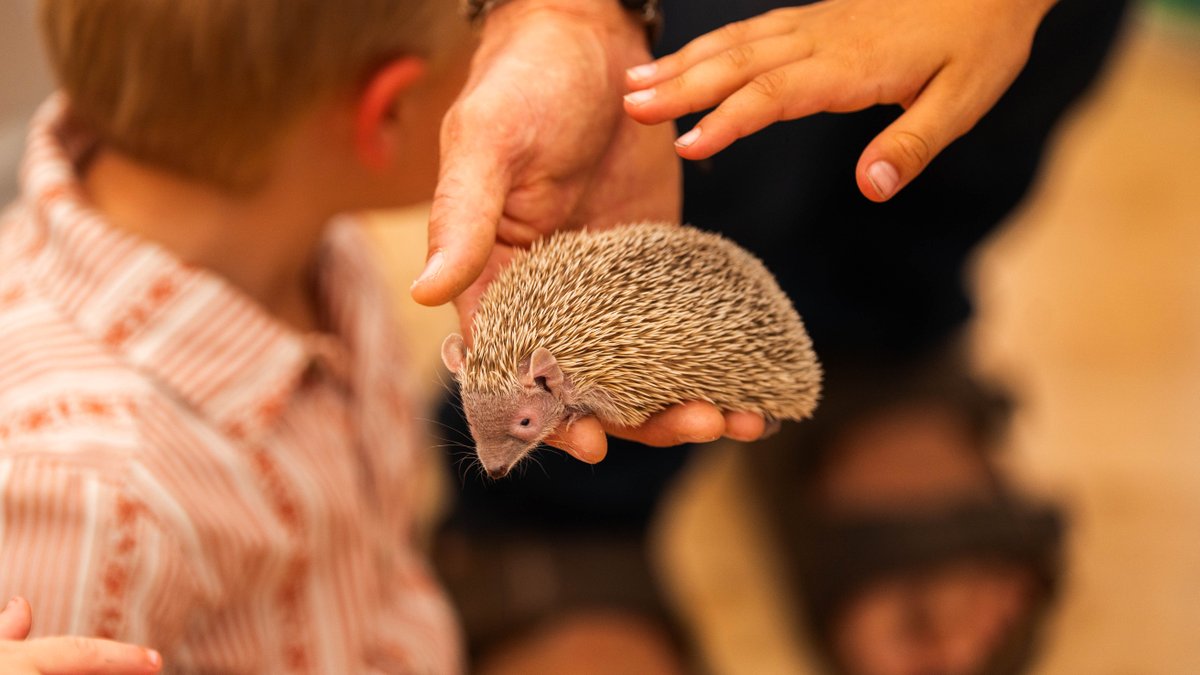 DetroitAthleticClub tweet media