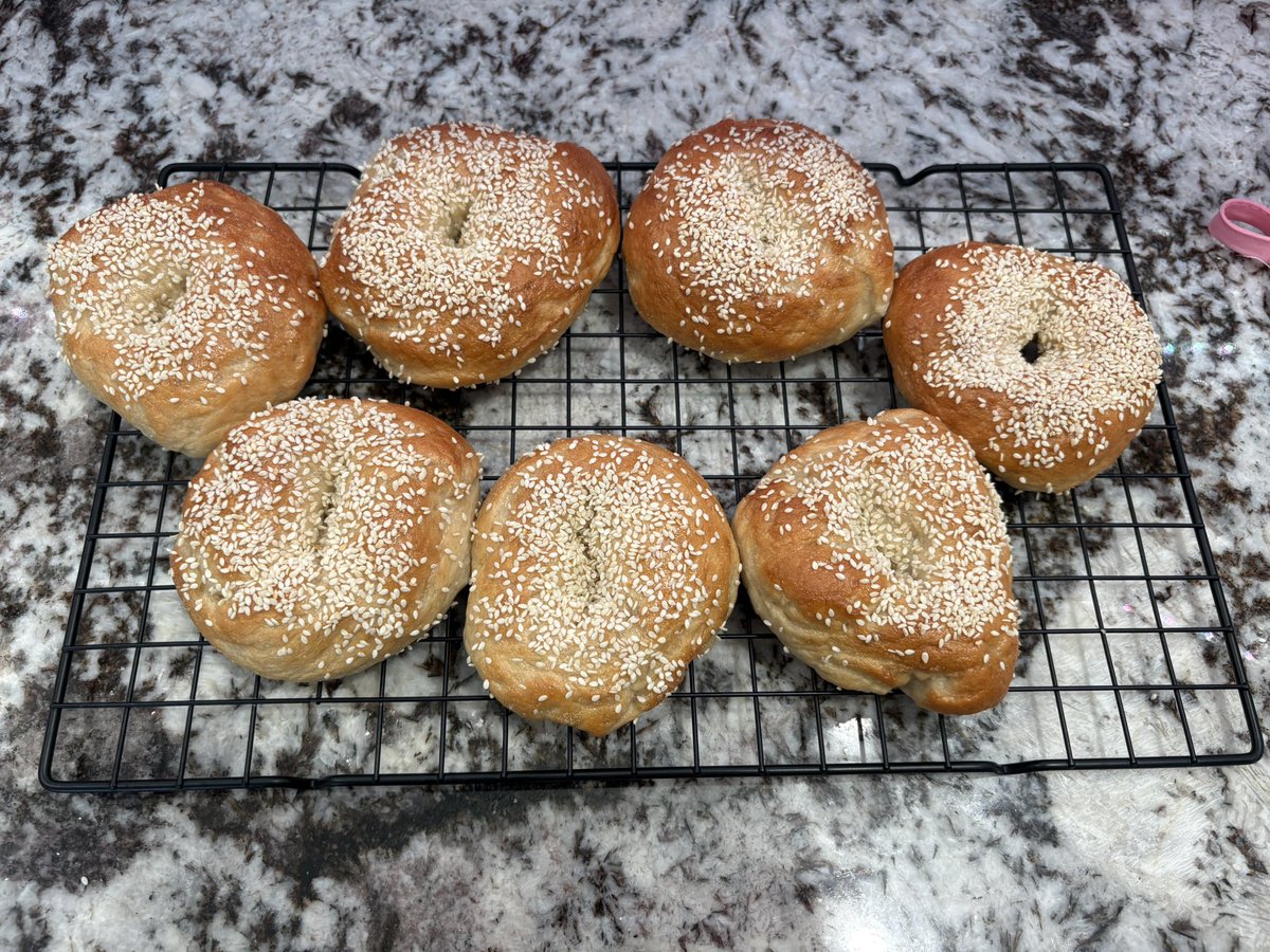 MikaBoogey's tweet image. My first attempt at bagels!!! I don’t think I did too bad 🤤