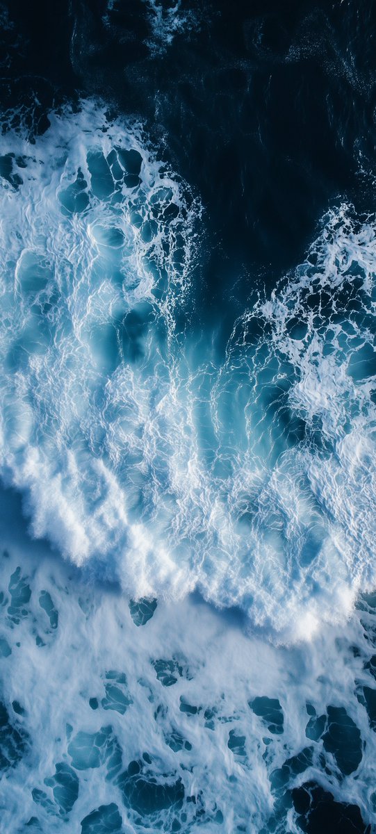 earthcurated's tweet image. 🌊