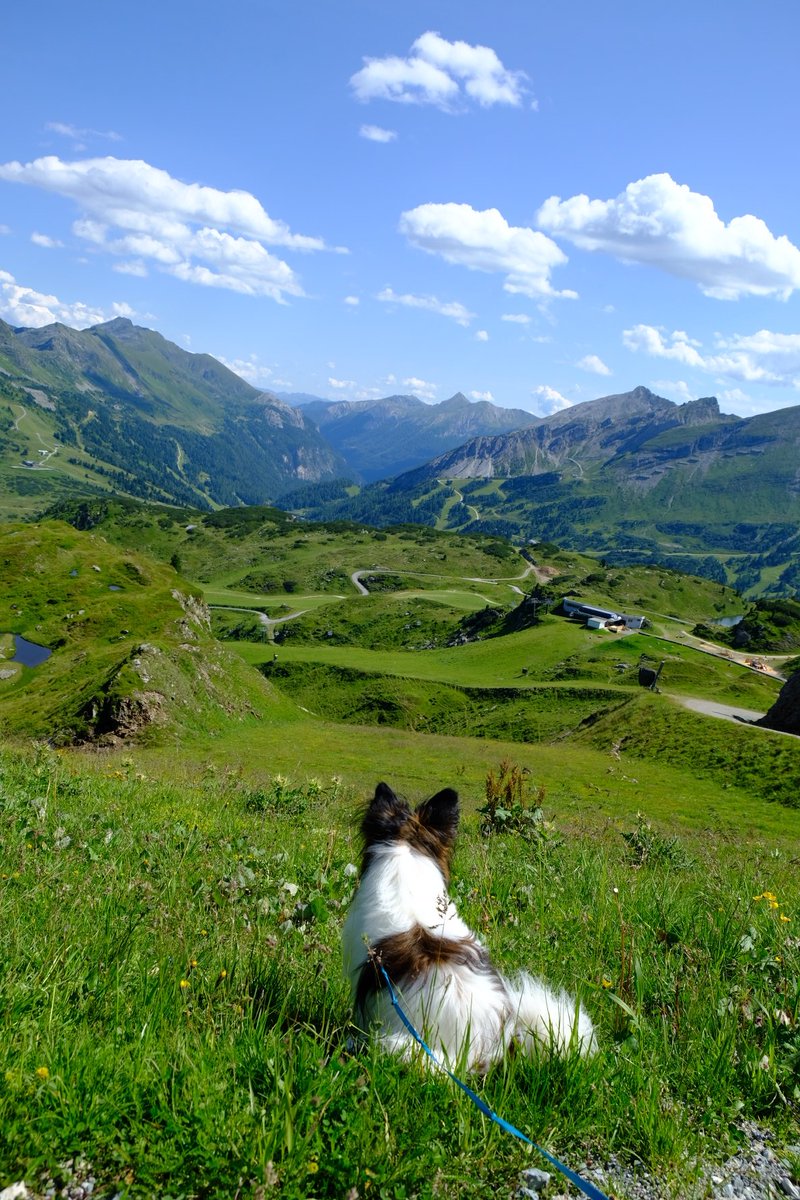 Je čas se rozloučit..🐾☀️ #Obertauern