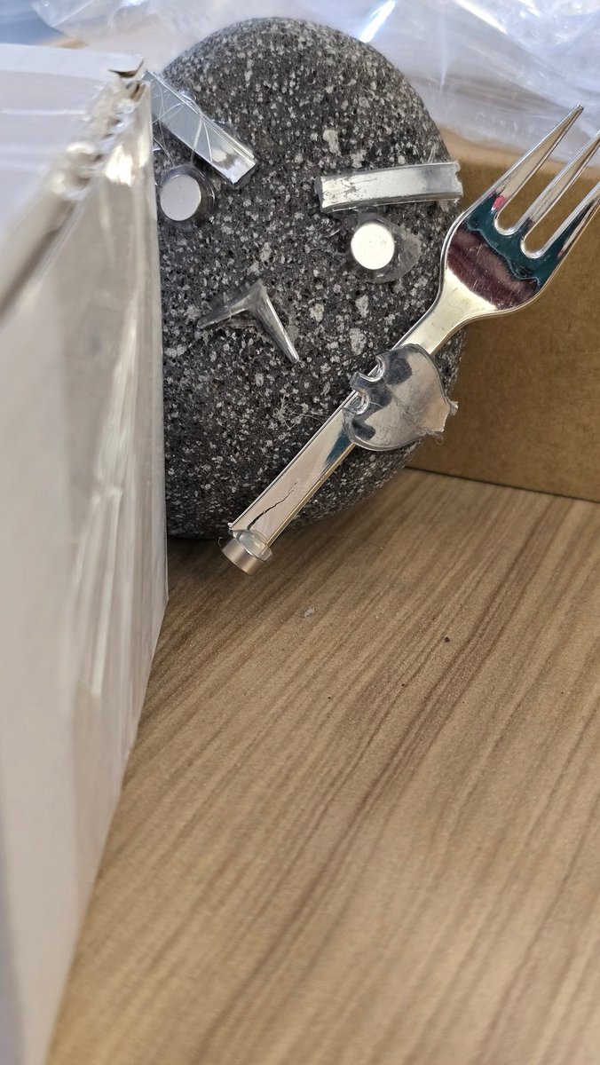 Gray 🏐 tweet media