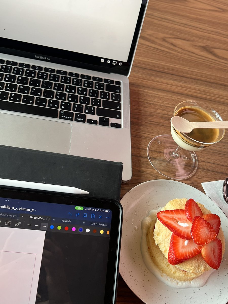 LightHzs's tweet image. 