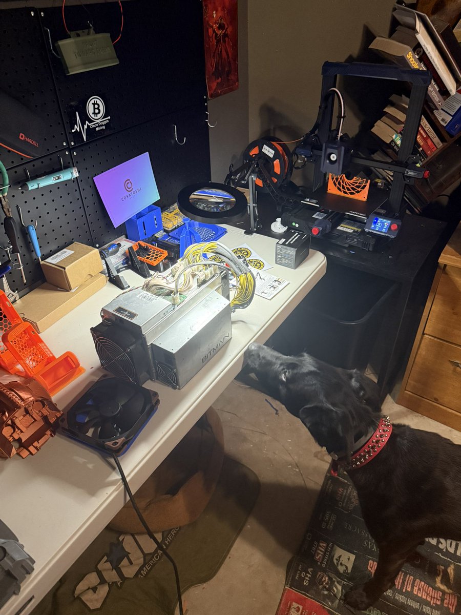 Bogey is helping with the s9 rebuild