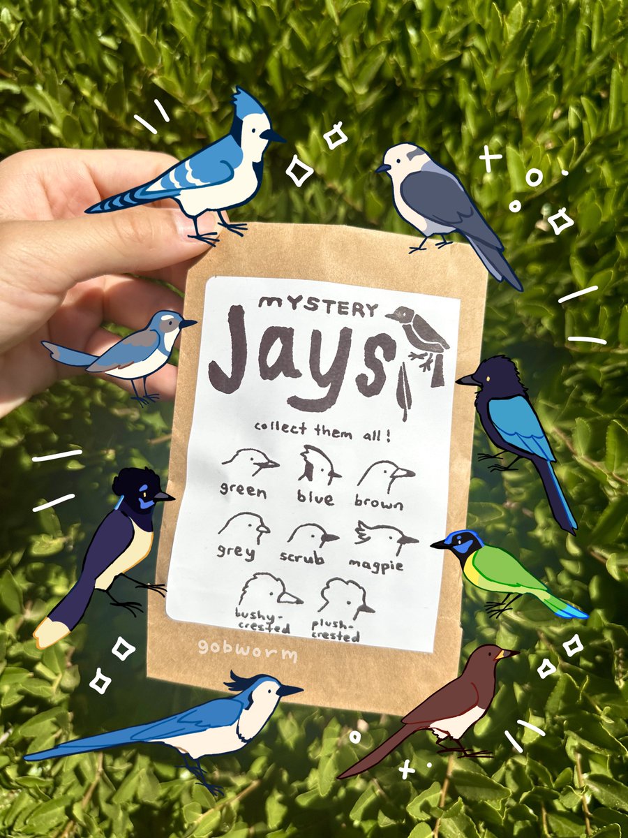gobwormshop's tweet image. we have a new jay pin mystery blind bag! how many of these jay species do you know?