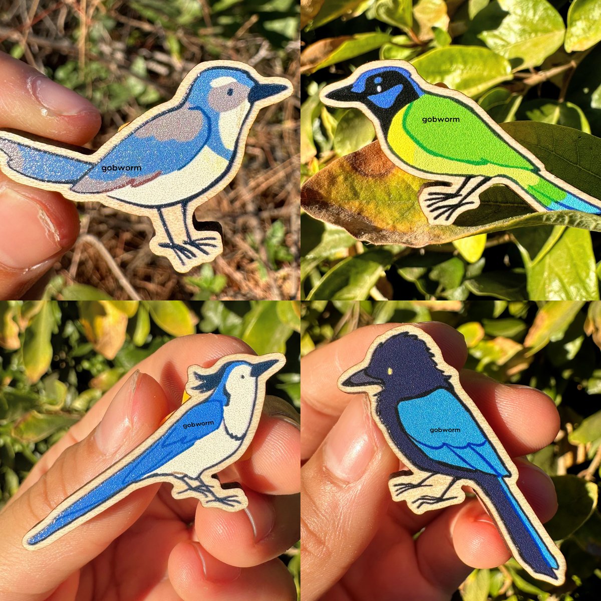 gobwormshop's tweet image. we have a new jay pin mystery blind bag! how many of these jay species do you know?