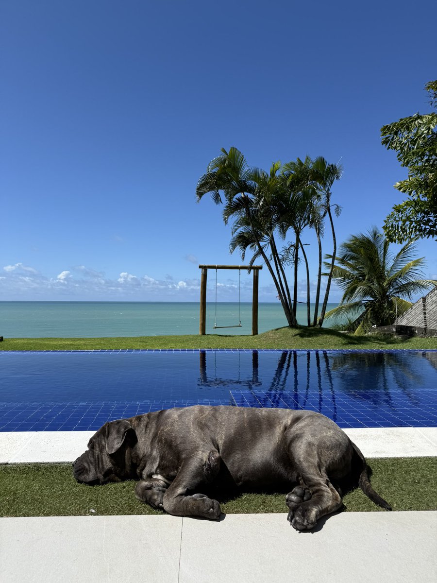 italoferreira's tweet image. No melhor lugar do mundo ❤️