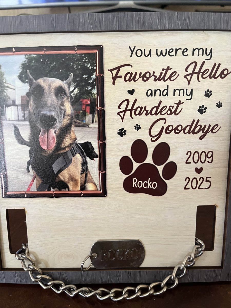 JPMS79's tweet image. Rocko, my favorite hello and my hardest goodbye
