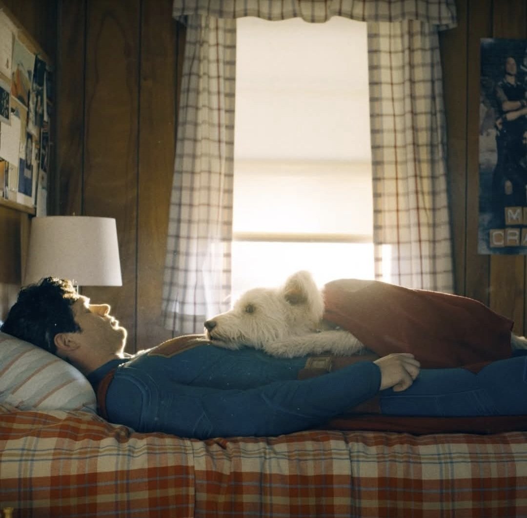 (Super)man's best friend🐶🦸
🌐🎫stagsevenoaks.co.uk/stag-theatre-s…
Krypto the Superdog causes havoc in the new #Superman film. Showing at 1:15pm, 4:45pm and 8:15pm every day!