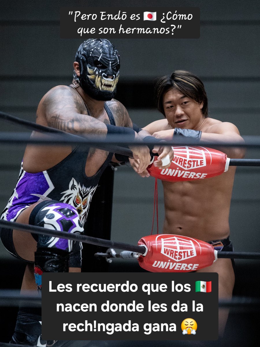 ham_tar0_'s tweet image. Reunión de mis hermanos favoritos 🥰
@entetsu_ddt
@alphawolf_CNS
@DragonBane_
La neta nomás empecé a seguir NOAH en enero porque soy fan del rey 🪲, pero el 🐺 y el🐉me han impresionado tanto que ahora los adoro de verdad.
DE MÉXICO 🇲🇽 PARA EL MUNDO 🌎