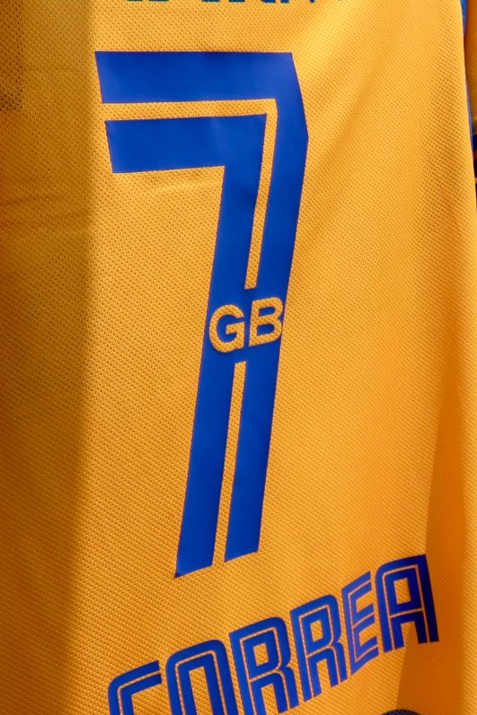 Tanto (GB) #GermanBerterame como su servidor agradecemos el homenaje que nos han brindado desde el #MundoTigre 🐯 

#Tigres