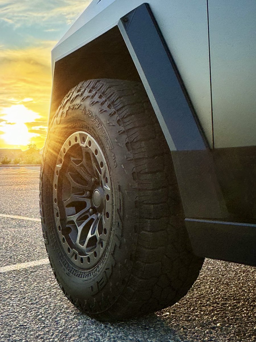 MartianWheels's tweet image. Quick reminder that these are back in stock
martianwheels.com/collections/wh…