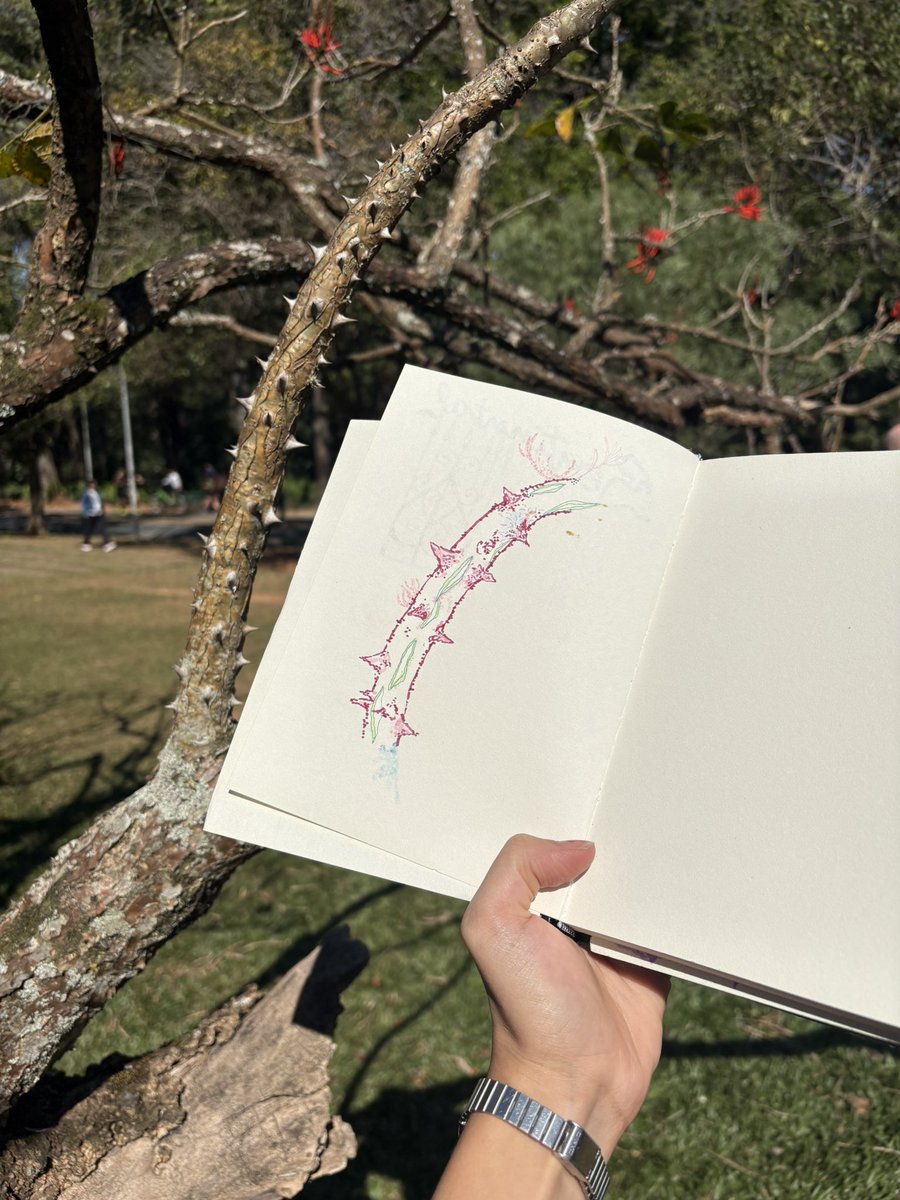 juliasphere's tweet image. estar atento aos sentidos e reinventar a paisagem no detalhe&lt;3