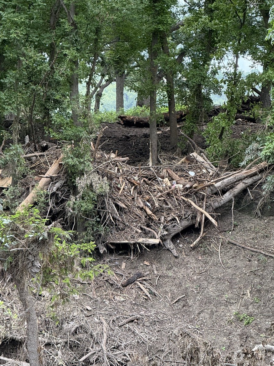 mullerrex1's tweet image. Pickin debris piles. This is slow and tedious. Shout out to my old outfit Texas A&M Forestry. #HillCountryStrong