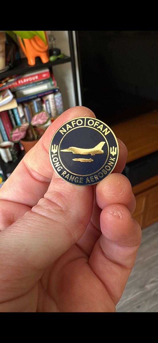 mburgess90's tweet image. Also if you donate $25 or more you can claim a pin badges (about 7 still available)
Help with getting the guys armour and show your NAFO support.. win win
Donate to : michael.a.burgess@outlook.com