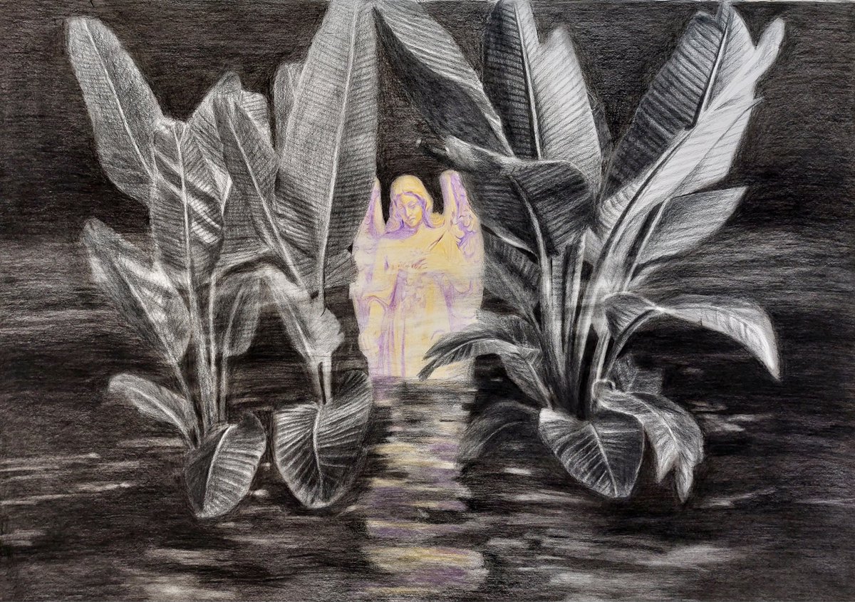 Samaneh Yousefi tweet media