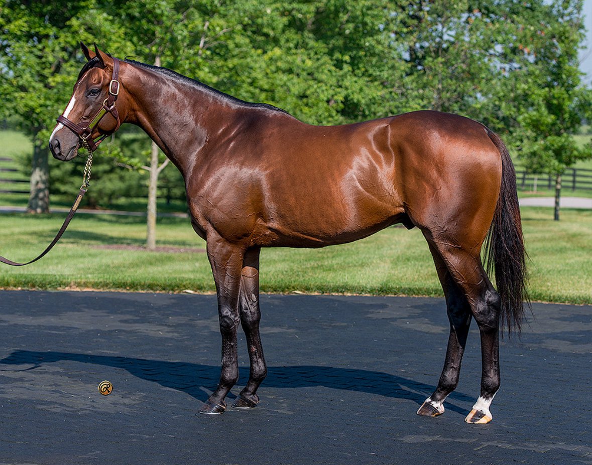 WinStarFarm's tweet image. CONSTITUTION’s 3YO son Investment Mandate wins a a MSW in his 2nd start at @MonmouthPark! Congrats to breeders Hill n Dale Equine Holdings &amp;amp; Bruce Lunsford! #FoundationfortheFuture #TheFutureIsNow @HillnDaleFarm