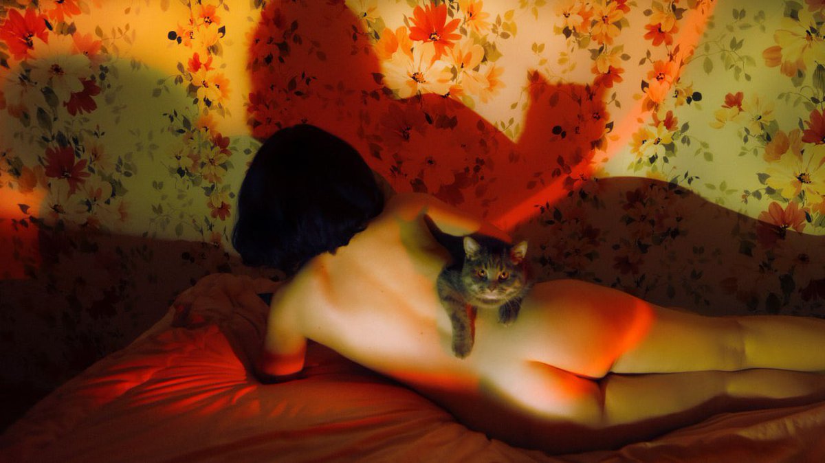 «Guardian of Silence»

А portrait inspired by Bulgakov's Master and Margarita. 

📍photography, 2024

available on <a href="/objktcom/">objkt.com</a>