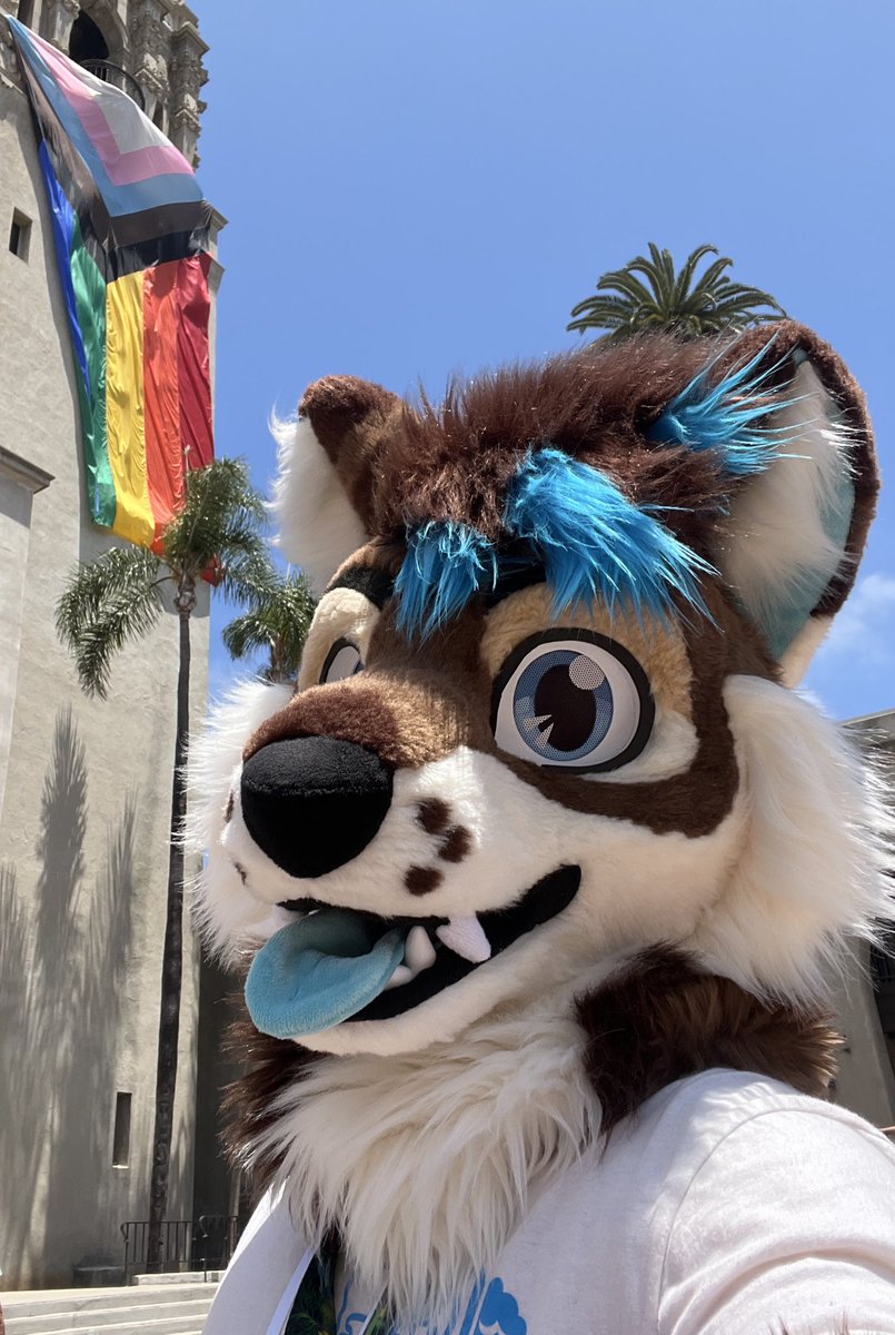 Sealeo65's tweet image. Happy Pride in San Diego 🏳️‍🌈!! 

Was super fun running through the parade!

🪡: @wolf_daz 
📷: @ZiggyDerg 
#sandiegopride