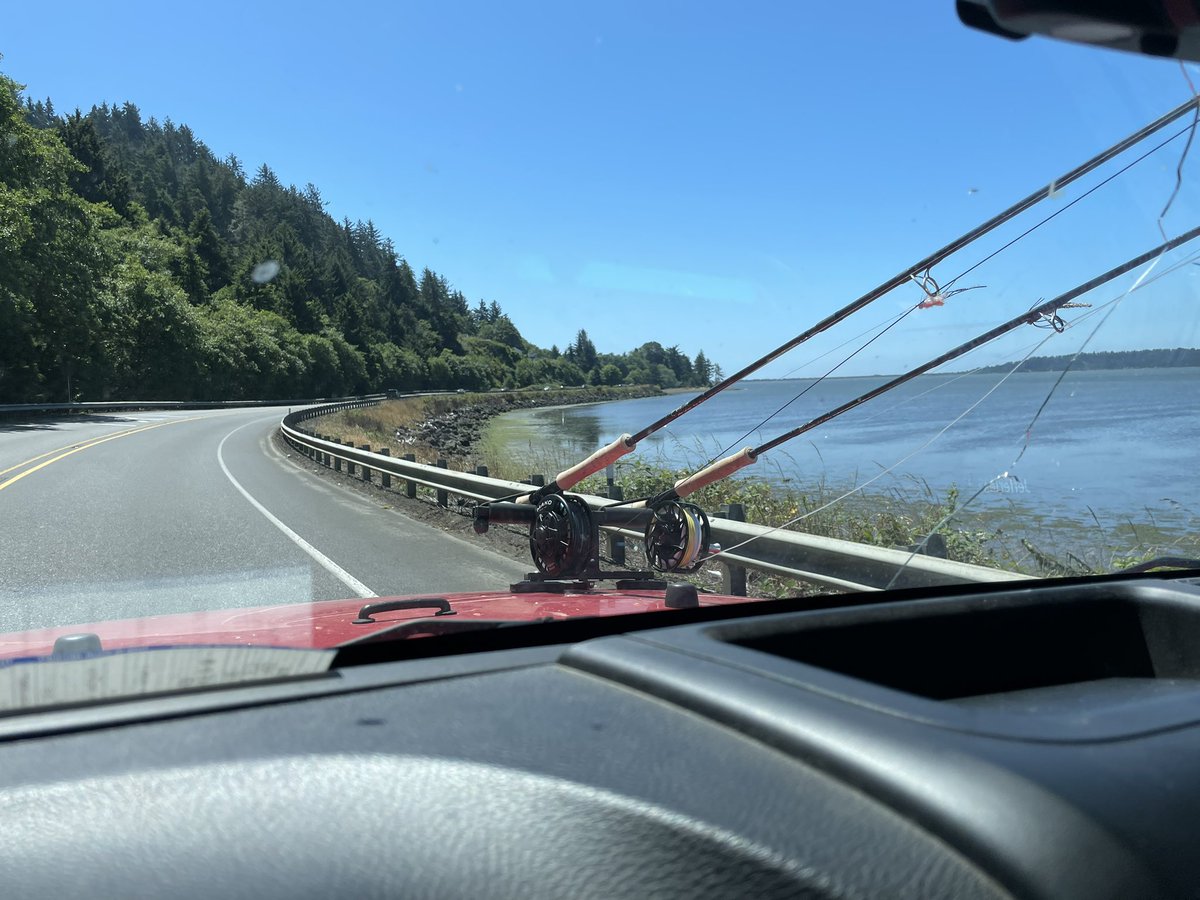 Data_Junkie_'s tweet image. happy place
