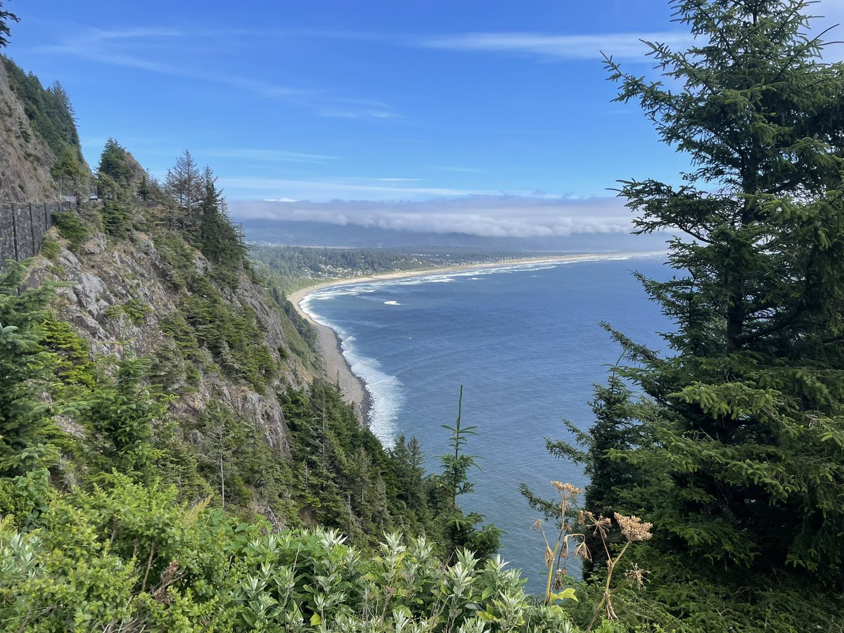 Data_Junkie_'s tweet image. happy place