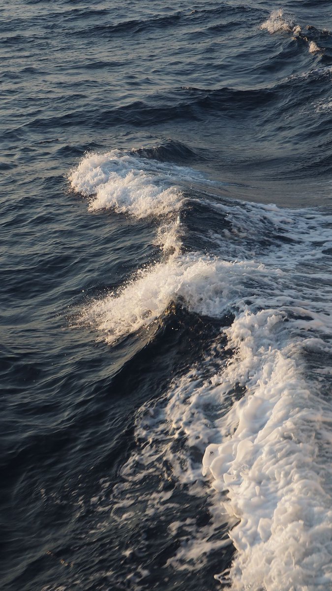 kiwiairene's tweet image. 