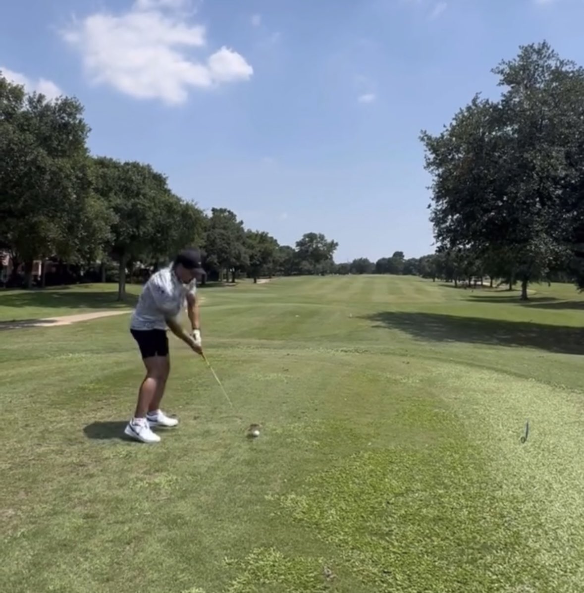 Jorge Sanchez tweet media