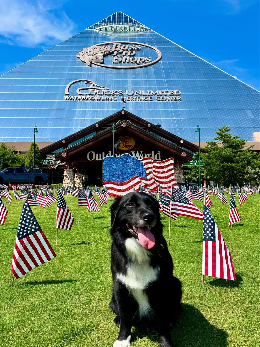 BassProShops's tweet image. All smiles when you get to visit the Pyramid!
📸: @callmebig.appa