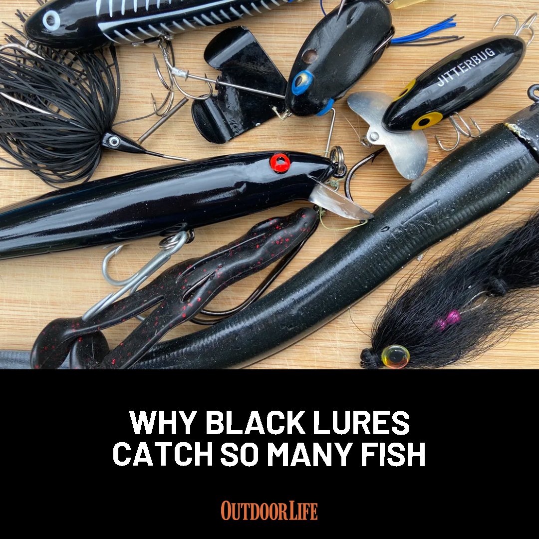 Outdoor Life tweet media