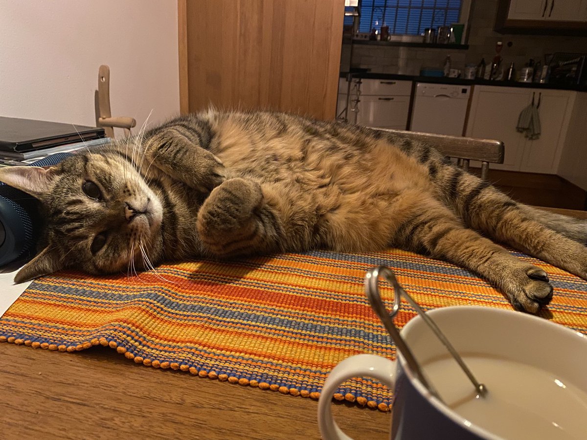 voxphantasma's tweet image. just got back home from a metal concert where the frontman announced he needed to piss and asked the crowd for directions to the toilets first thing when the band walked on stage. the baby is keeping me company for my mandatory tea before bed &lt;3