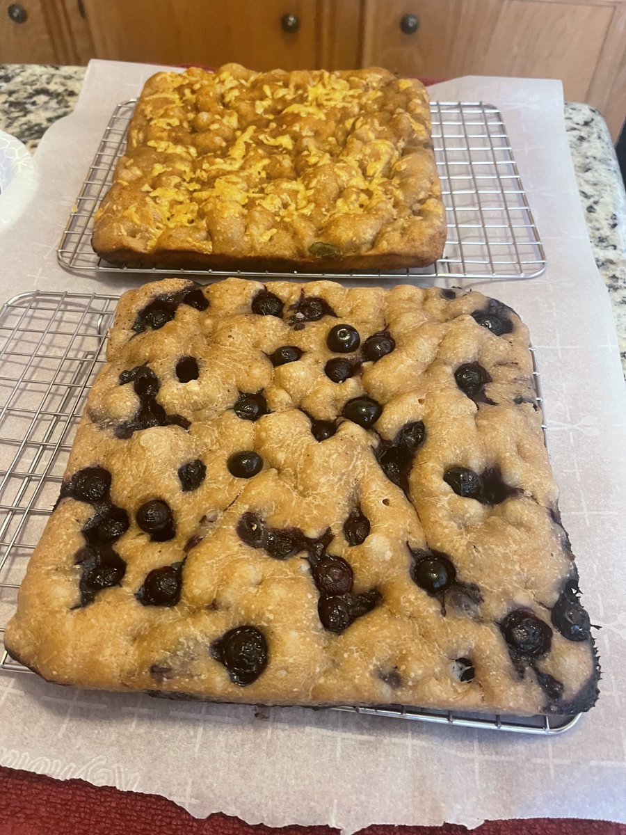mclseed's tweet image. Sourdough lemon/blueberry and jalapeno/cheddar cheese focaccia fresh from the oven.