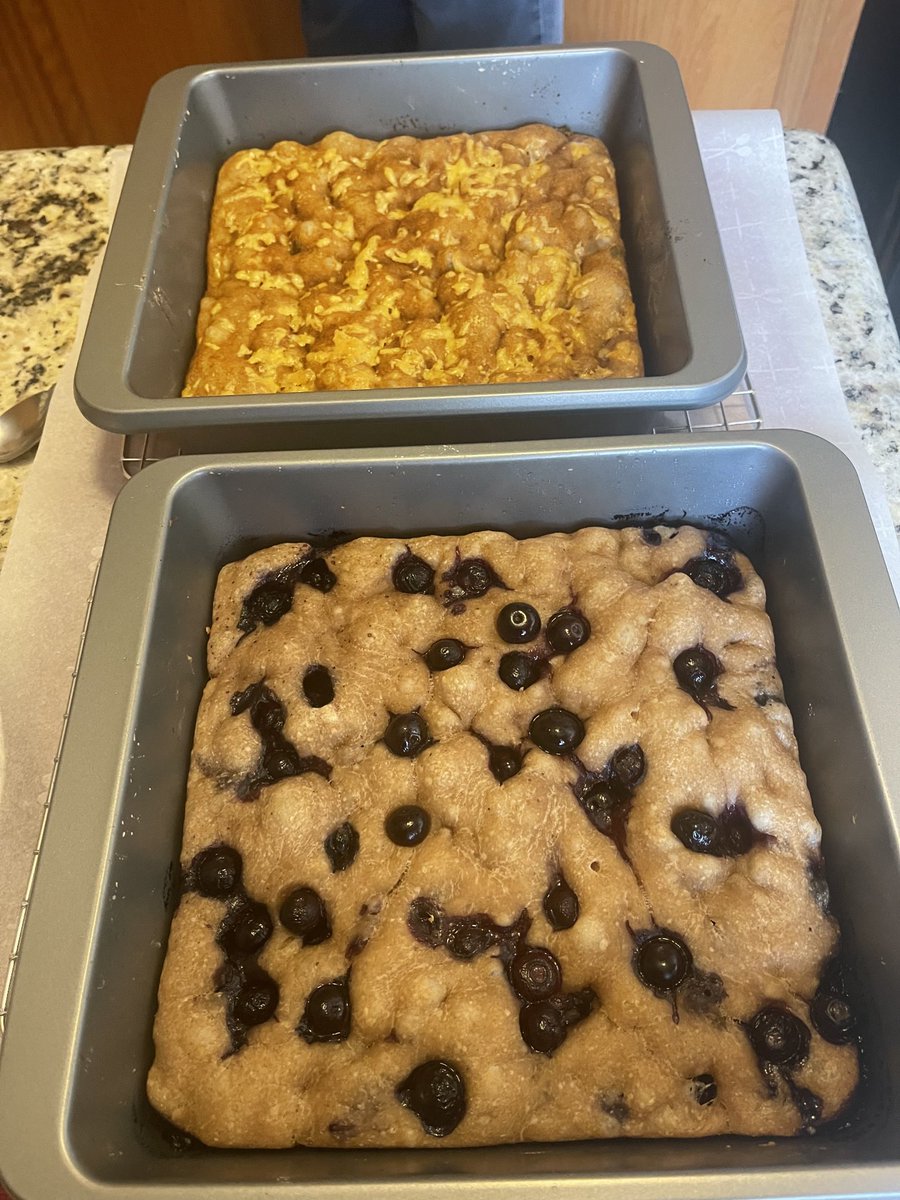 mclseed's tweet image. Sourdough lemon/blueberry and jalapeno/cheddar cheese focaccia fresh from the oven.