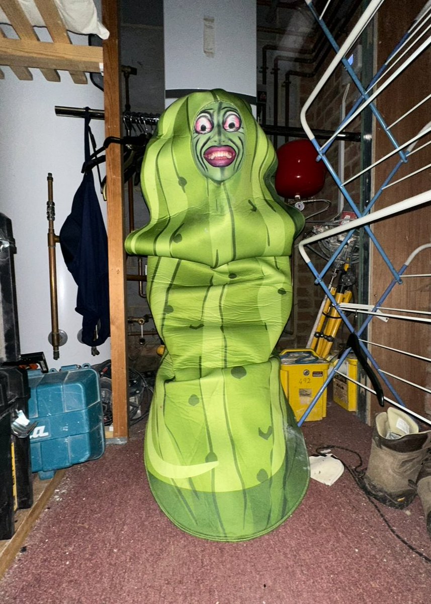 kyranthrax's tweet image. Me and my cousins were out pickling and we just… started pickling