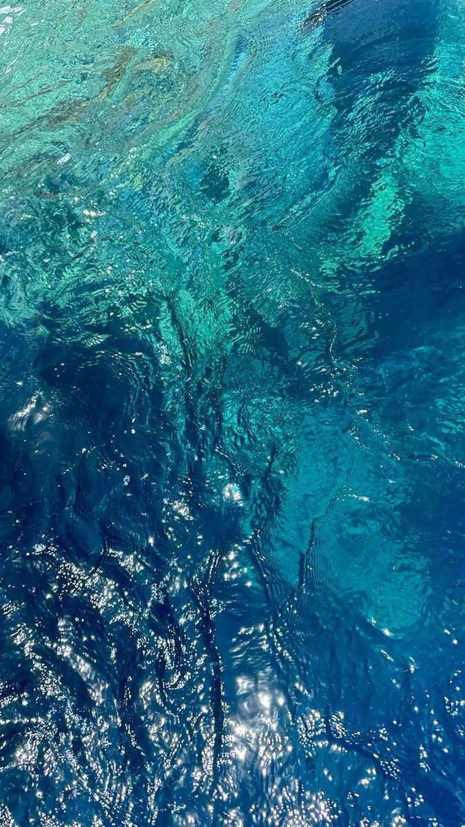 kiwiairene's tweet image. 