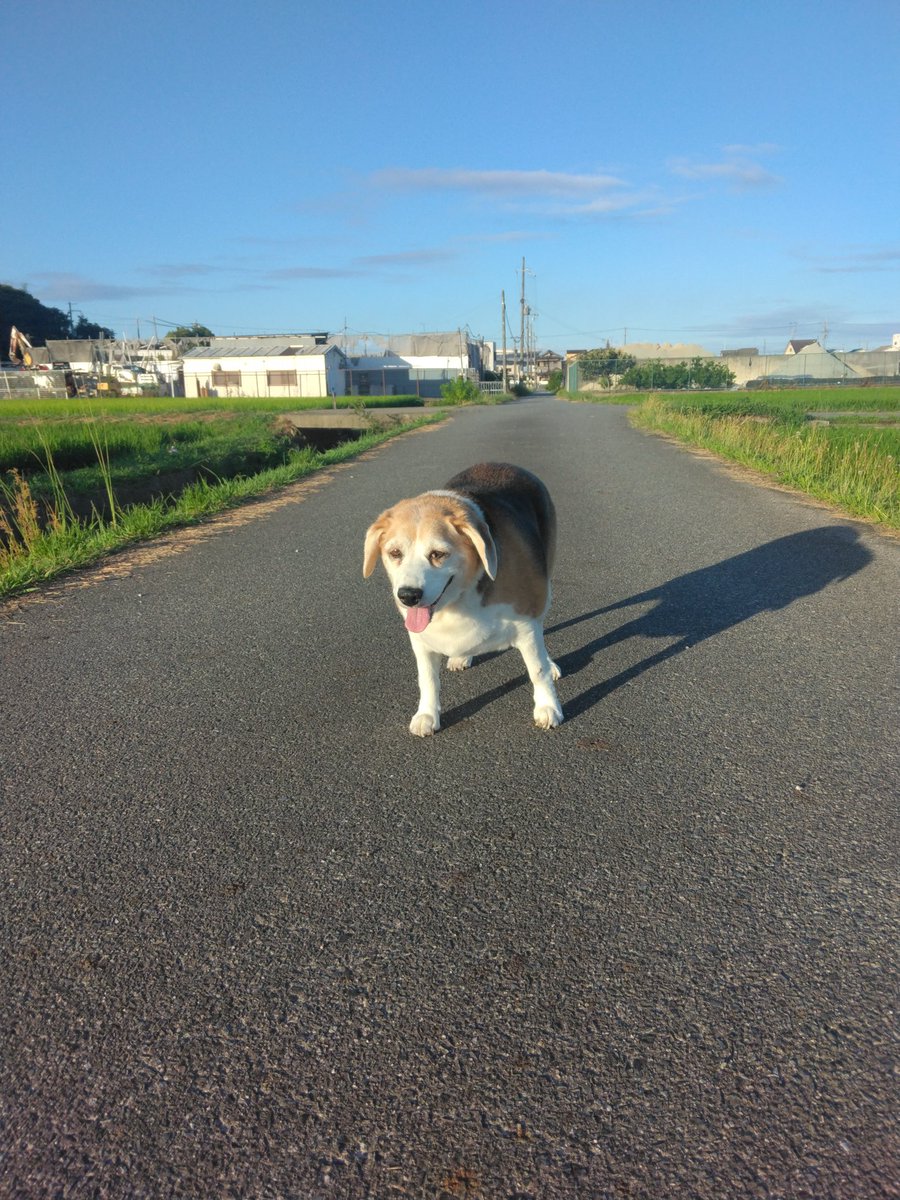 おはようございます😲🐶
朝散歩、27度ぐらい🐕💦⛅
今日は、１週間に１度の休日
😃です。
今日も良い一日を🥵🚴⚠️