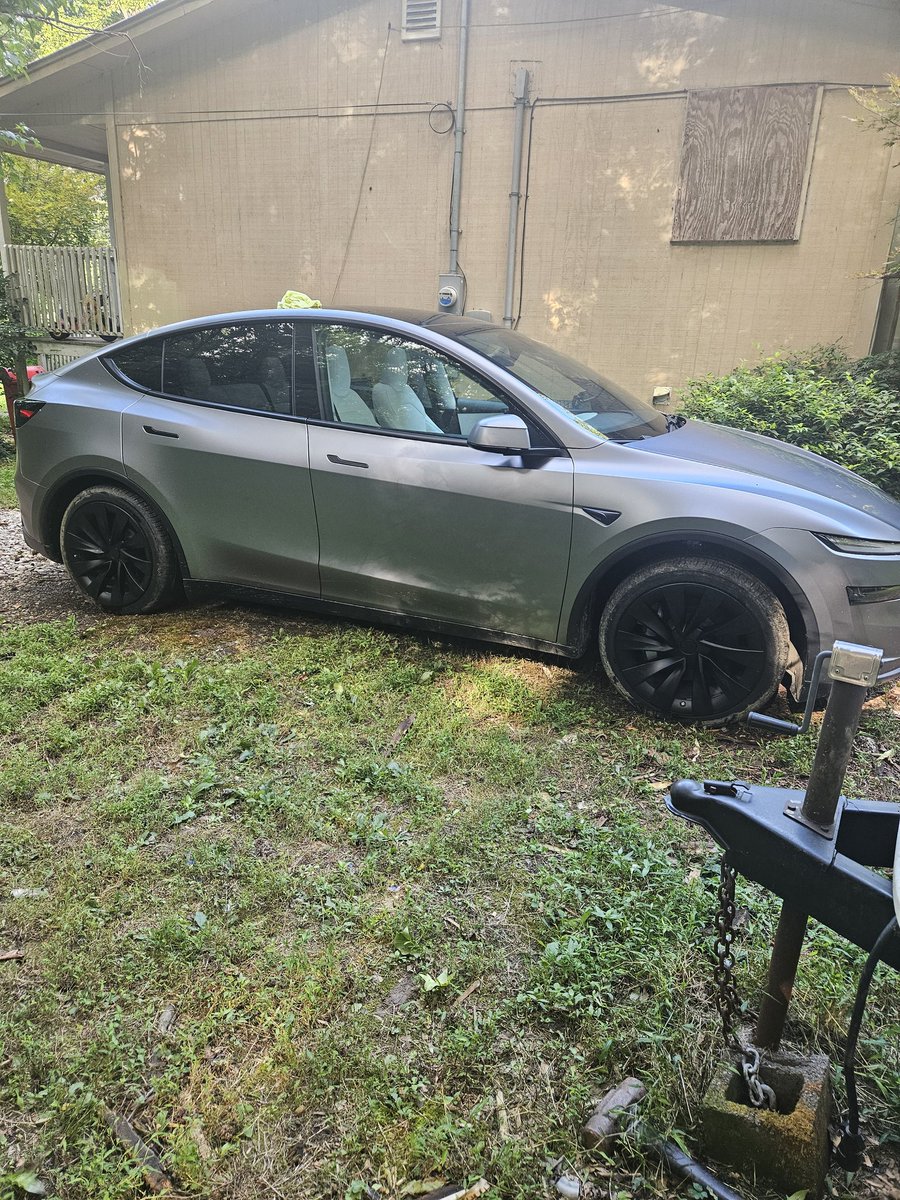 Honky Stonk tweet media