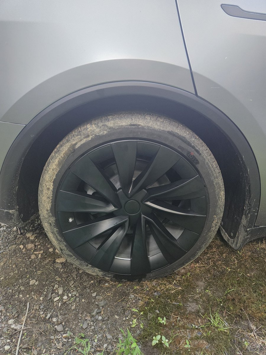 Honky Stonk tweet media