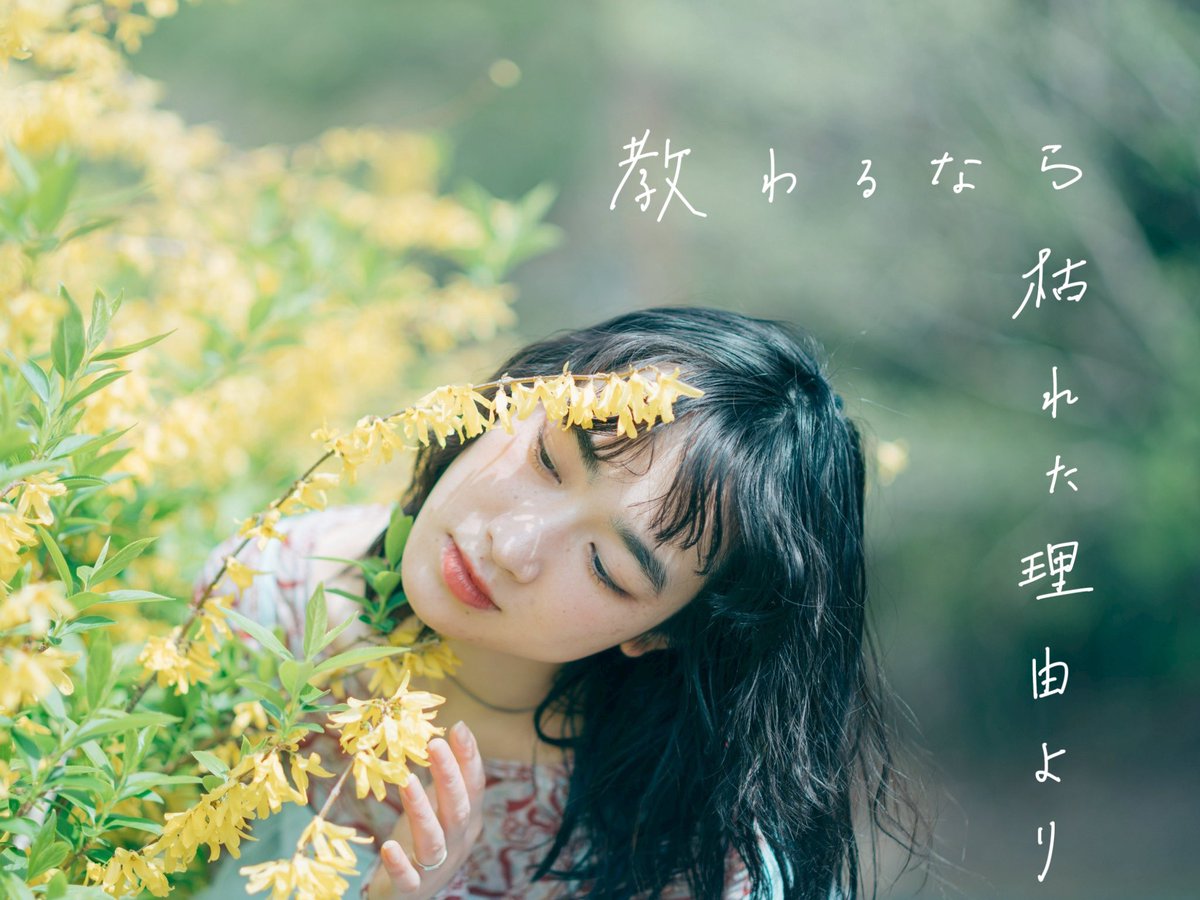 327__723's tweet image. 一輪の花が隣から消えた