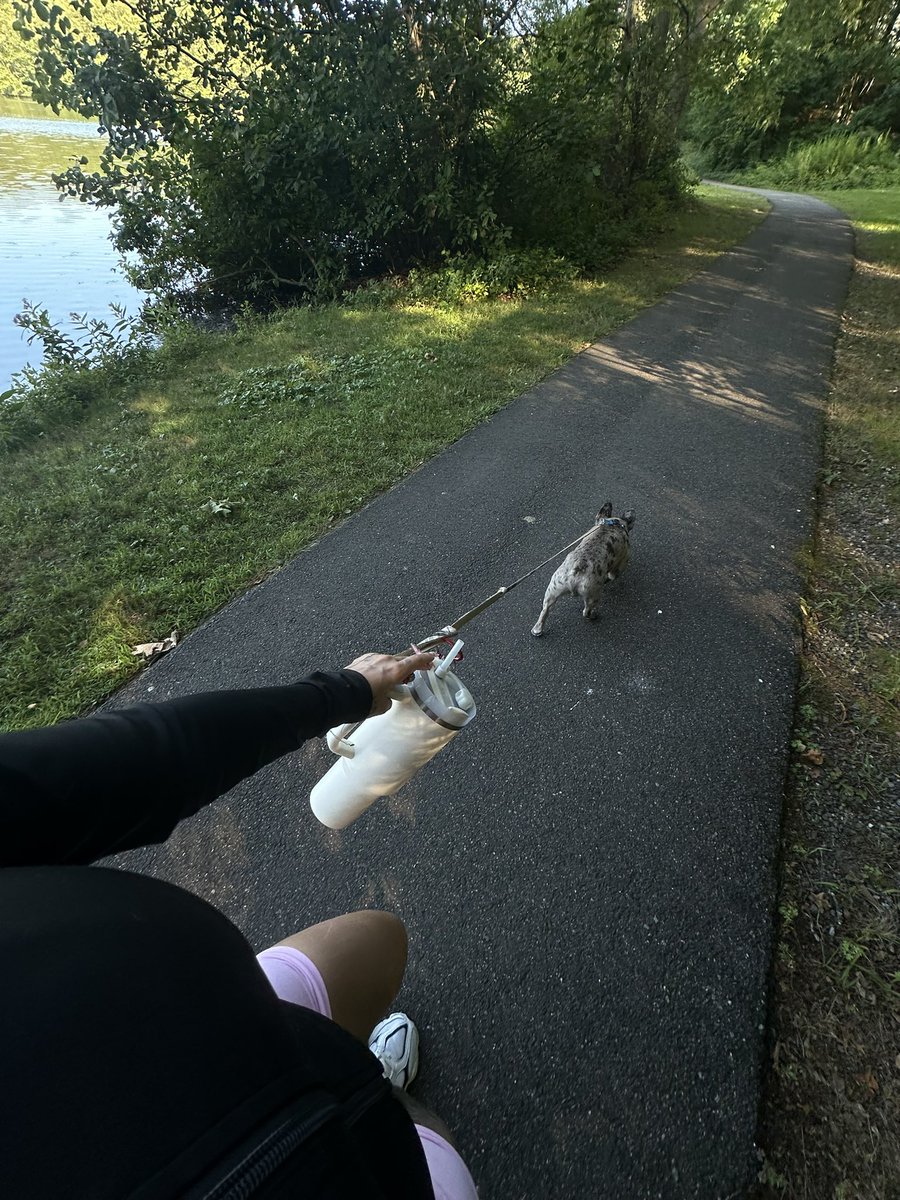 Wallflower tweet media