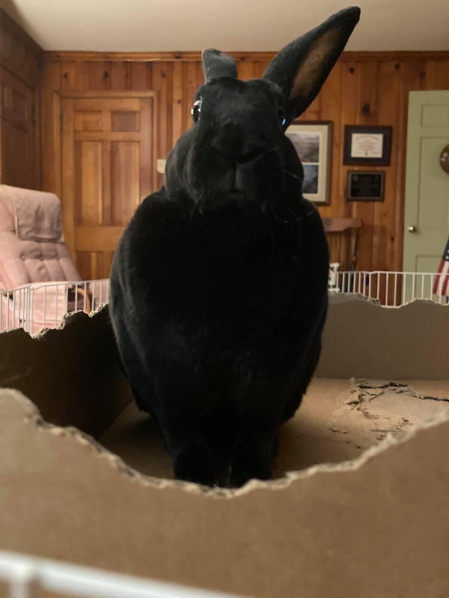 Lois is ready to accept all of your appreciation! 😊