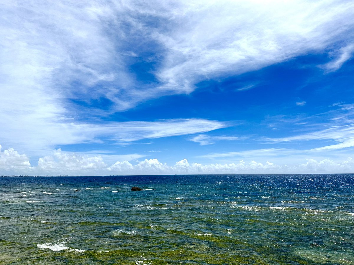 hiroko3004's tweet image. おっはよう~ございます𓂃 𓈒𓏸◌🐬🫧🐬🫧写真は以前📸チラット青🩵も見え👀てるけど雲の多い空現在の気温27.7℃湿度88%雨☔️の予報の #石垣島 🏝️強風でベランダがグッチャグチャ😓天候収まるまで放置🤣今日は早出&当番でペット達に時間要しスマホも放置に💦素敵な日曜日を𓂃 𓈒𓏸◌🌺𓈒𓏸🫧