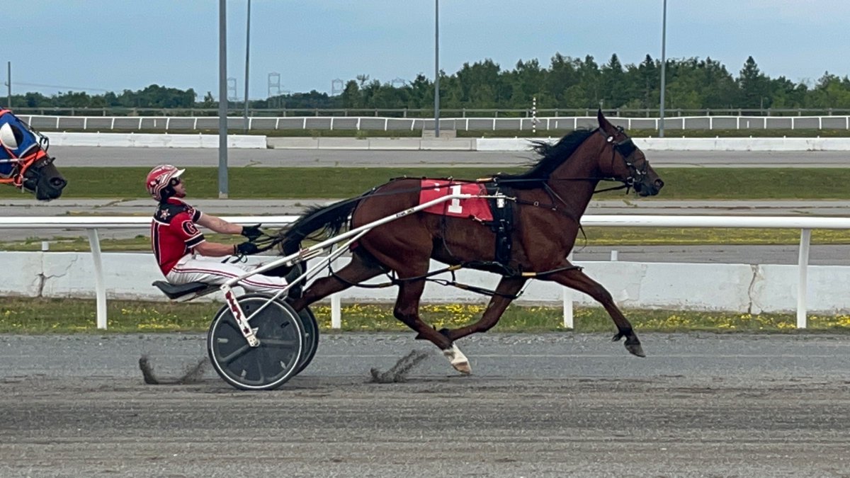 JustinStygles's tweet photo. @KawarthaDowns! NA horse track #106. A cousin of @DoverDowns. Caught morning works at @TheNYRA then drove 6 hrs sacrificing the Gerrity and @Plainridge.
@brooklyncowboy1 @joeclancy65 @john_rallis @trotinsider @USTrotting @saratogaspecial @TheTriactor #writingandracing tour https://t.co/9c7x6mlYSr