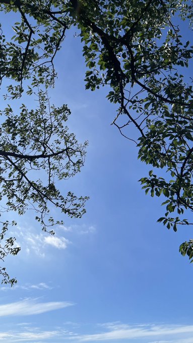 おはずり〜☀️朝イチで選挙投票してきたお 