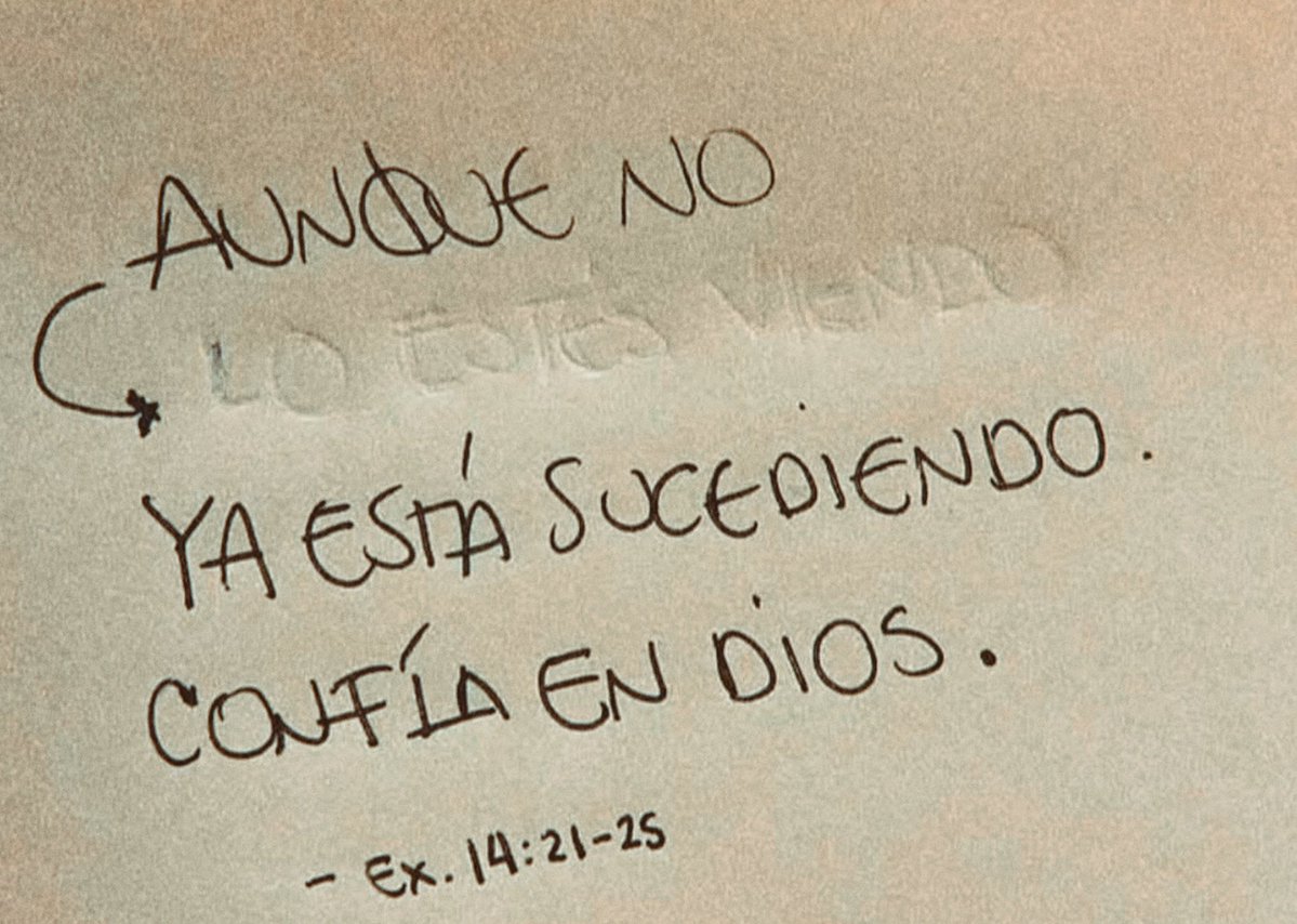 Biblia_Linea's tweet image. ✨