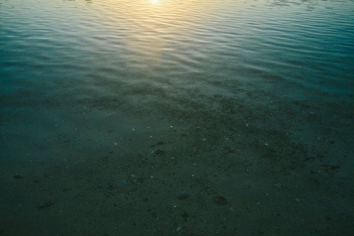 shintake_photo's tweet image. Morning glow