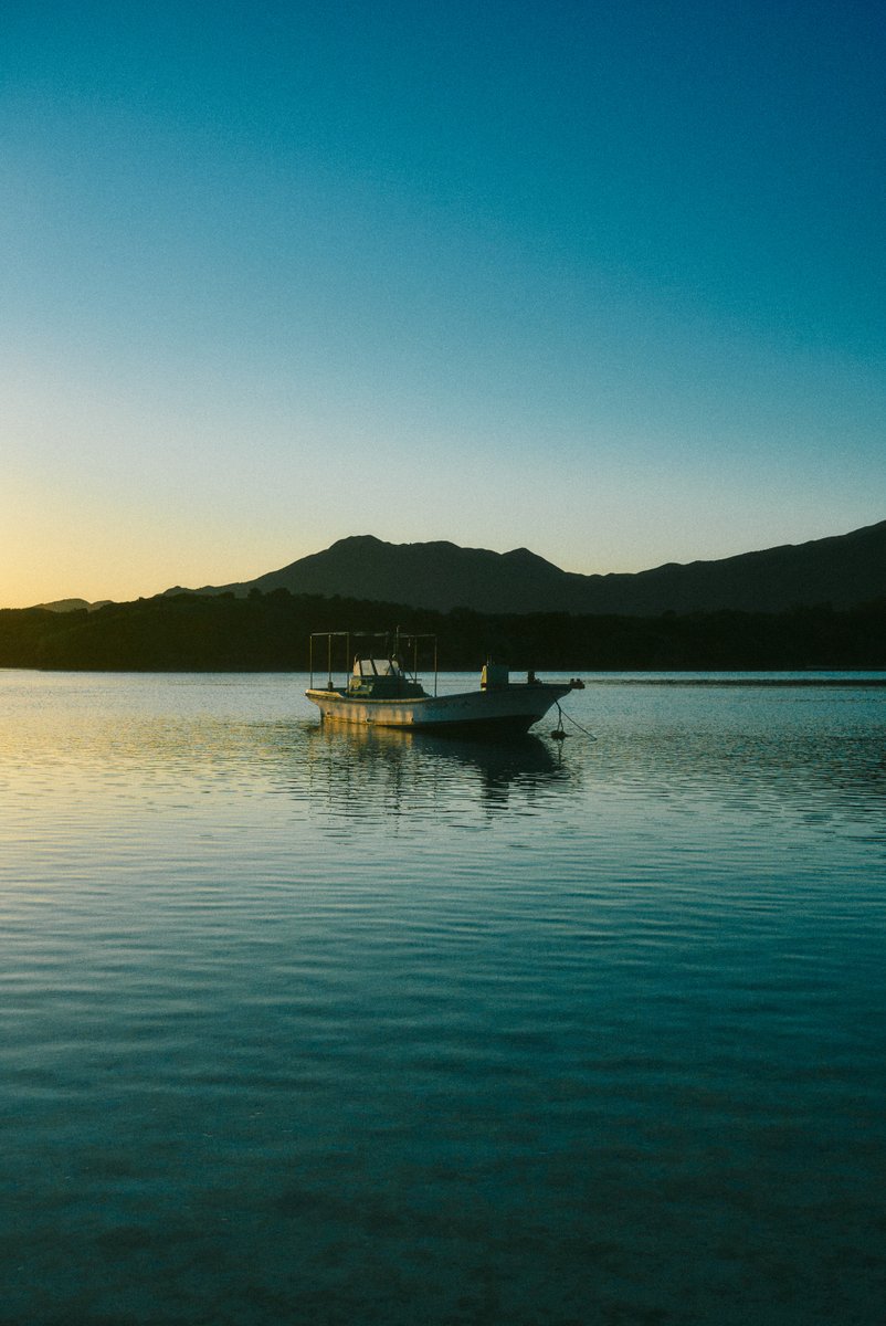 shintake_photo's tweet image. Morning glow