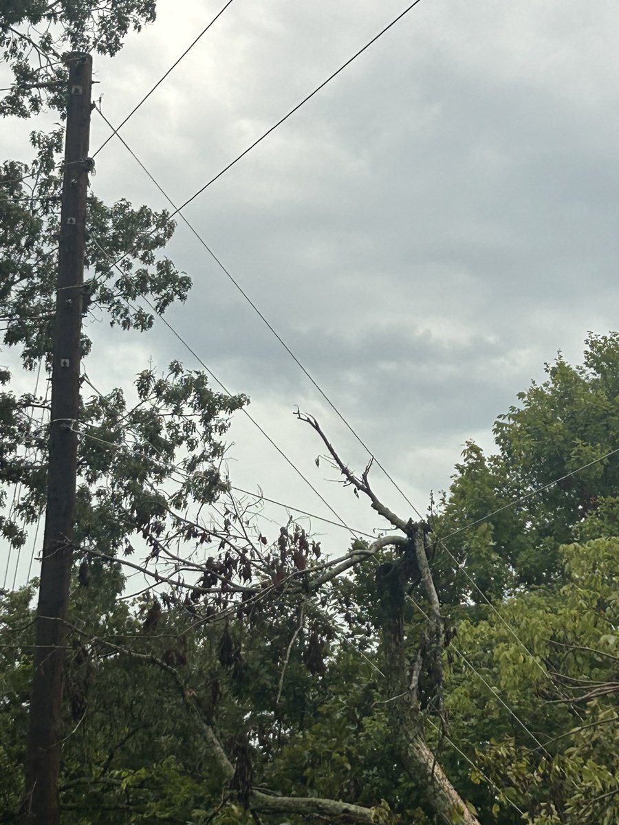 WarrenRECC's tweet image. Update: Power has been restored!
Morgantown Members: Crews are working to remove a tree from a line in order to restore power. We are working as quickly and safely as possible.