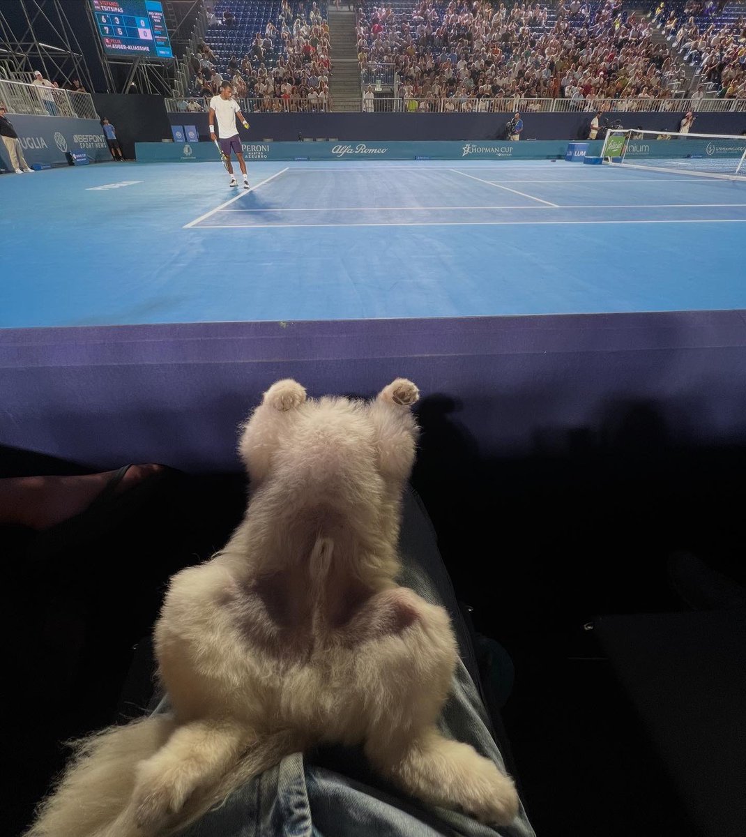felixtennis's tweet image. Good times in Bari 🍦🇮🇹🎾🇨🇦
Finale coming up 😎
Match wasn’t entertaining enough for someone in the last pic 🥱