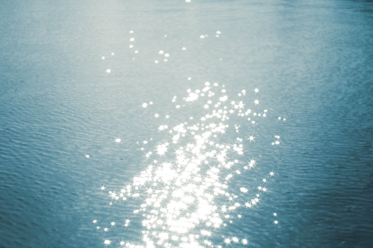 pic_kn__'s tweet image. あの夏を追いかけた